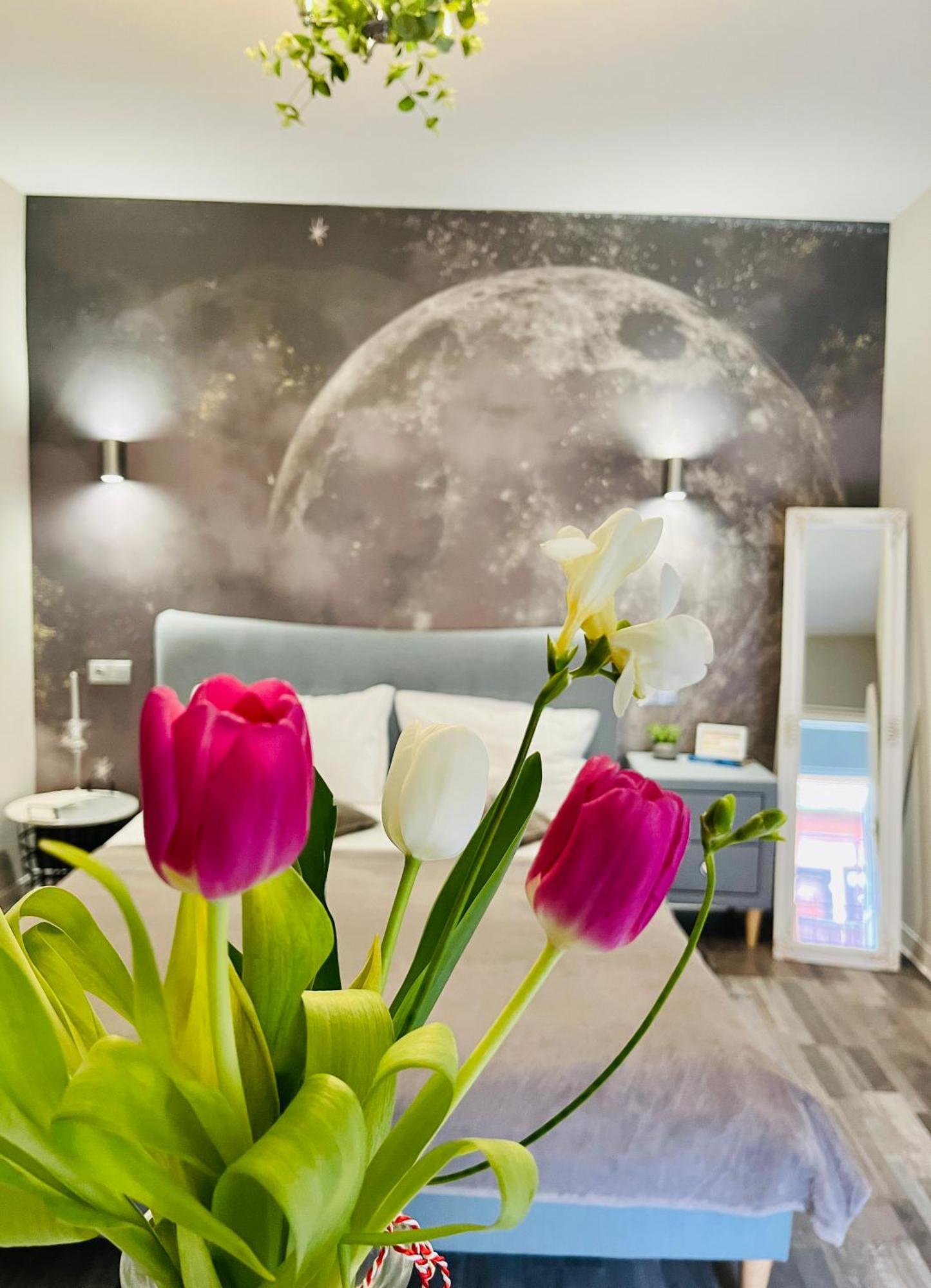 סיביו Moon And Sun Apartments מראה חיצוני תמונה