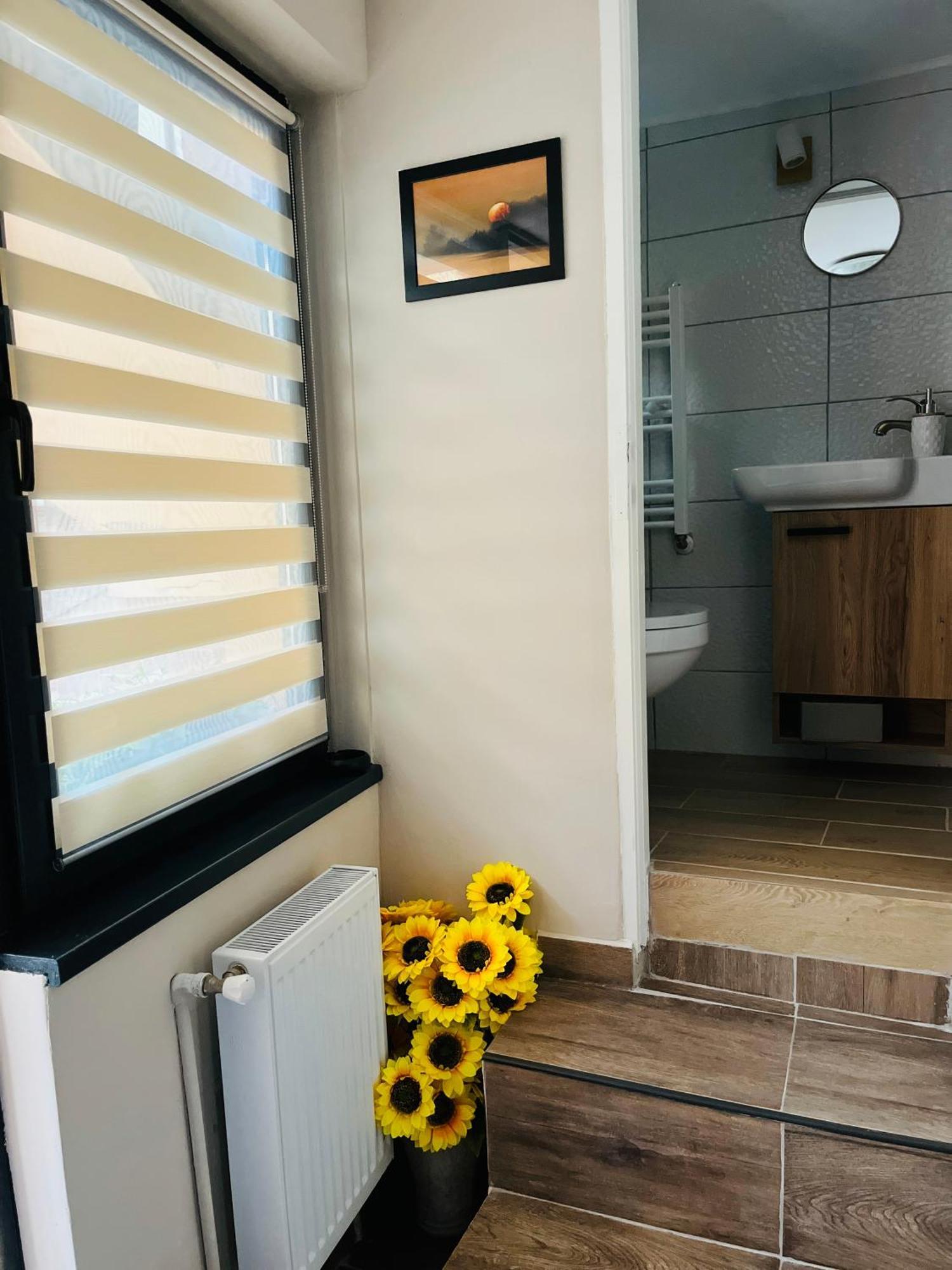 סיביו Moon And Sun Apartments מראה חיצוני תמונה